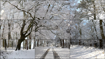 David Hockney (British, born 1937), Woldgate Woods, Winter, 2010, 2010, digital videos, 100 in. x 165 in., Toledo Museum of Art (Toledo, Ohio), Purchased with funds from the Libbey Endowment, Gift of Edward Drummond Libbey and Gift of Caroline Ransom Williams, Carl B. Spitzer, Edgar Park, Pauline Steinem, and Mrs. Joseph Roth, by exchange, 2017.14